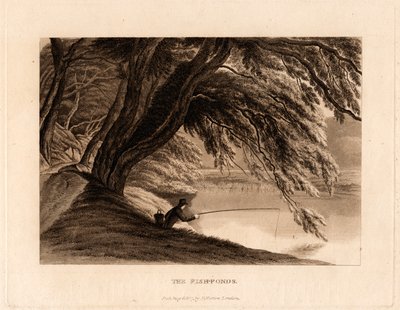 Fiskedammene av Henry Morton