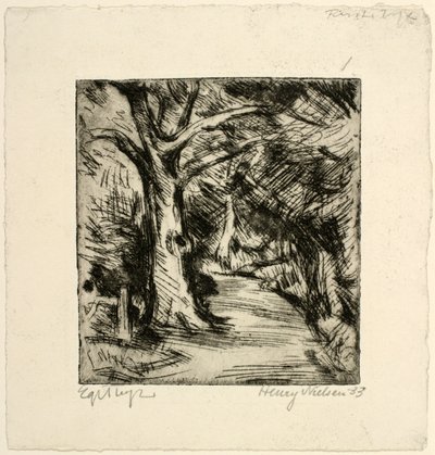 Skogsvei. Riis skog av Henry Nielsen