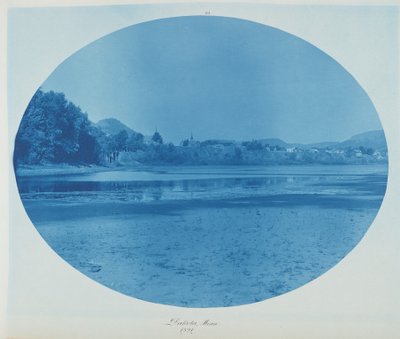 Dakota, Minn. av Henry Peter Bosse