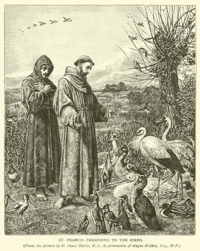 St Francis forkynner for fuglene av Henry Stacey Marks