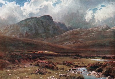  av Henry Sutton Palmer