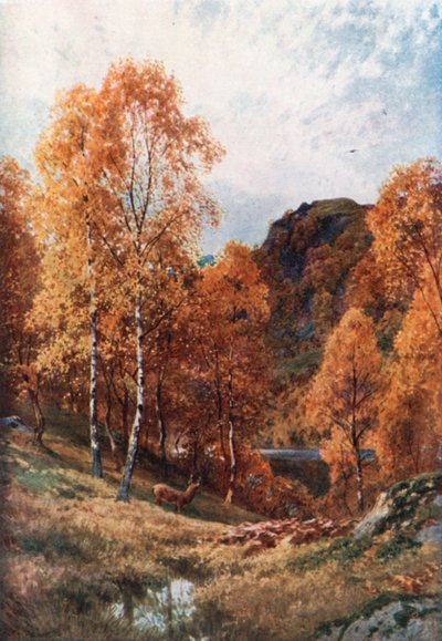 Gyllen høst, Trossachs, Perthshire (fargelitografi) av Henry Sutton Palmer