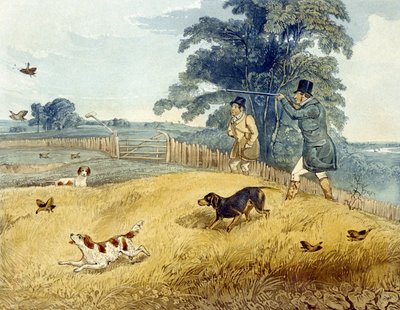 Flushing Birds, plate fra 