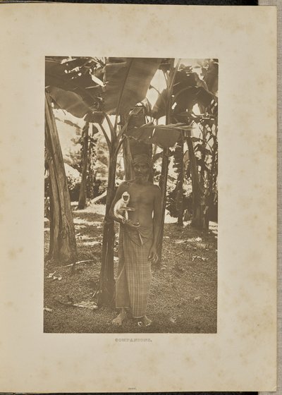  av Henry W. Cave