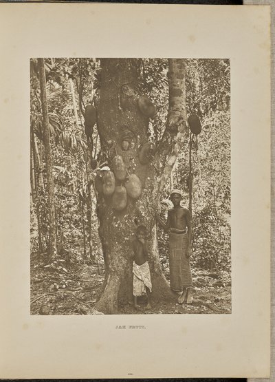  av Henry W. Cave