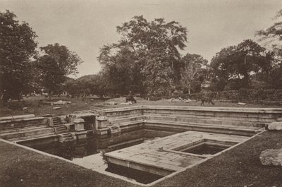 Ceylons ruinerte byer: Pokuna (s/hv-bilde) av Henry W. Cave