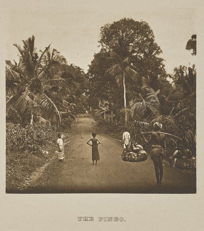  av Henry W. Cave