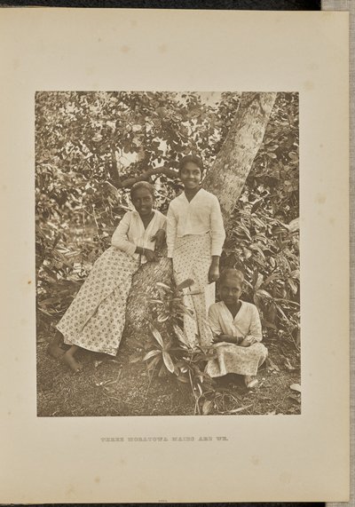  av Henry W. Cave