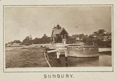  av Henry W. Taunt