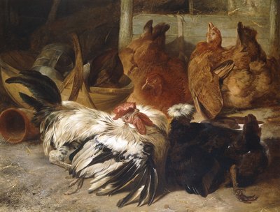 En sølvgrå rosecomb-hane og en hvit-krammet svart Polen med to buff-høner, av Henry Weekes