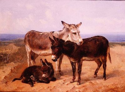 Sand Asses av Henry Weekes