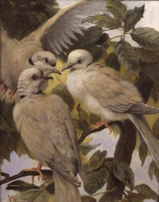 Tre ringduer av Henry Weekes