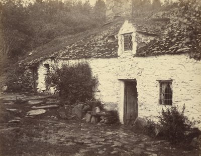  av Henry White