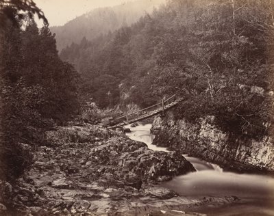  av Henry White