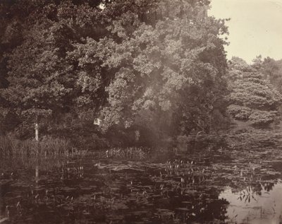  av Henry White