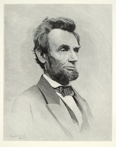  av Henry Wolf