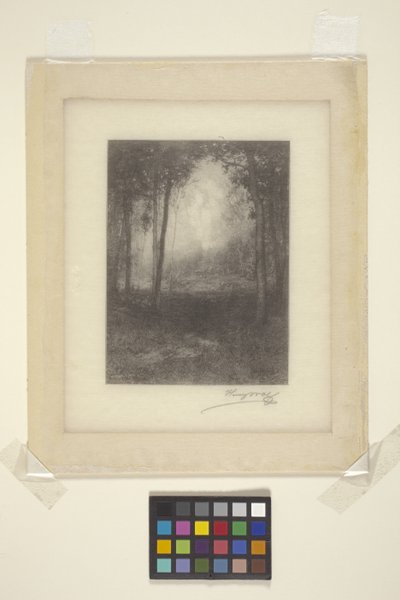 In The Adirondacks (blekk) av Henry Wolf