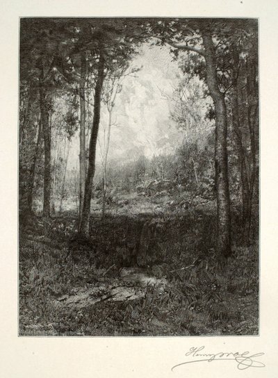  av Henry Wolf
