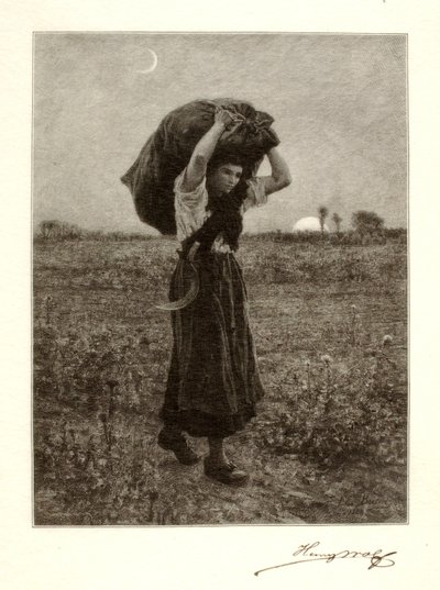  av Henry Wolf