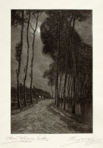  av Henry Wolf