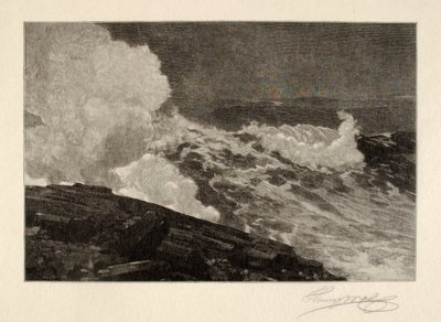  av Henry Wolf