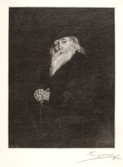  av Henry Wolf