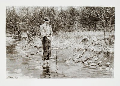 av Henry Wolf