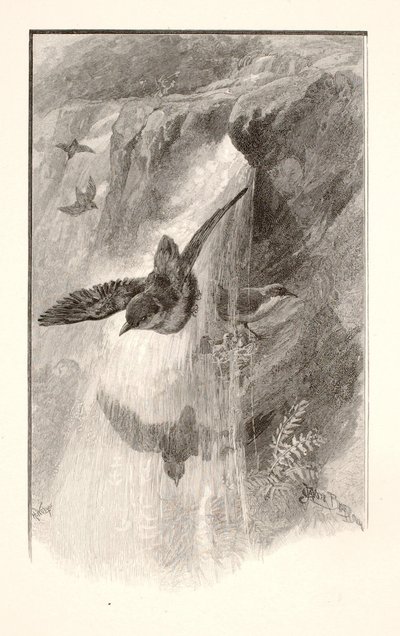  av Henry Wolf