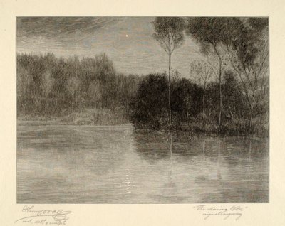  av Henry Wolf
