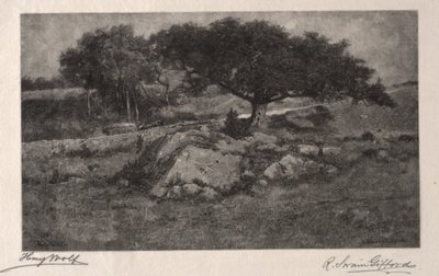 Veikanten. av Henry Wolf