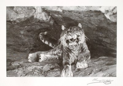  av Henry Wolf
