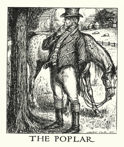 Ingoldsby-legender: Poppelen (lito) av Herbert Cole