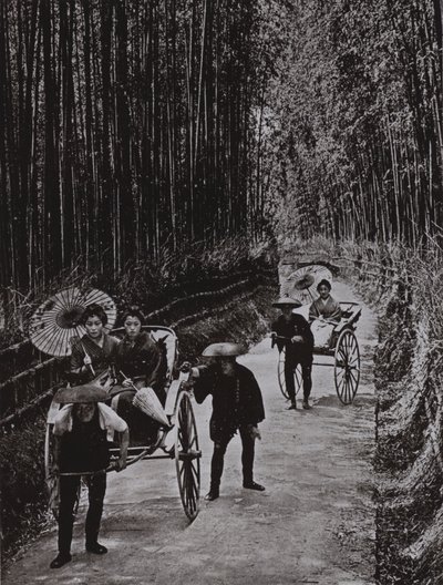 A Bamboo Avenue i Kyoto (s/hvitt bilde) av Herbert Ponting