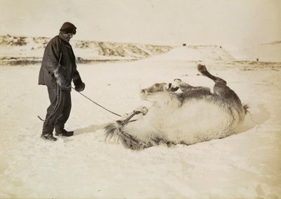  av Herbert Ponting
