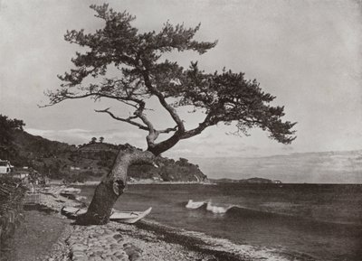 Atami (s/hvitt bilde) av Herbert Ponting