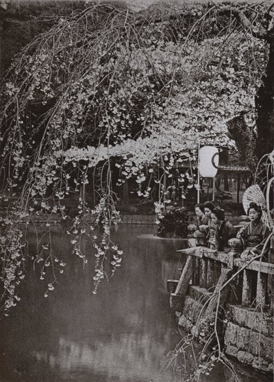Cherry-Blossom Time i Japan (s/hvitt bilde) av Herbert Ponting