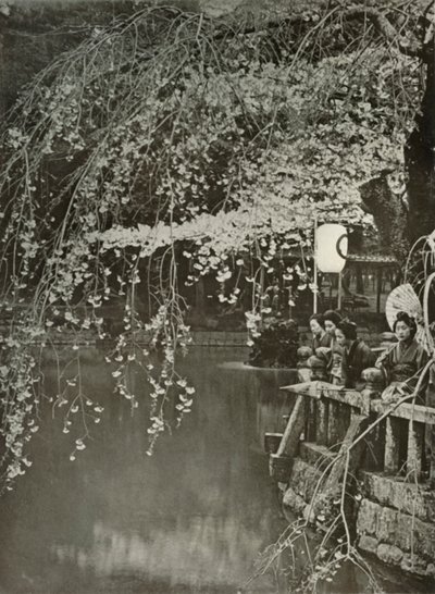 Kirsebærblomstringstid i Japan, 1910. av Herbert Ponting