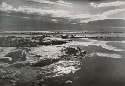 Julaften 1910 i flokken, 1913 av Herbert Ponting