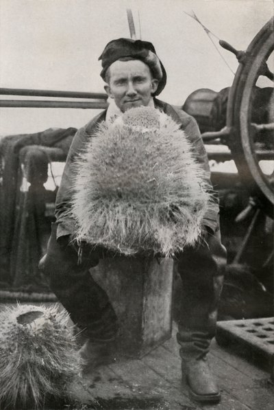 D. G. Lillie, med noen av siliciumsvampene, c1911, 1913 av Herbert Ponting