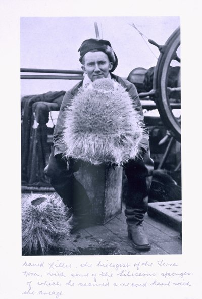 David Lille, biolog i 