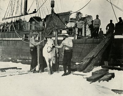Avstigning av ponniene, c19101913, 1913 av Herbert Ponting