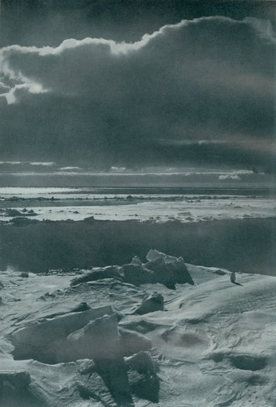 Kveldsscene i flokken, c19101913, 1913 av Herbert Ponting