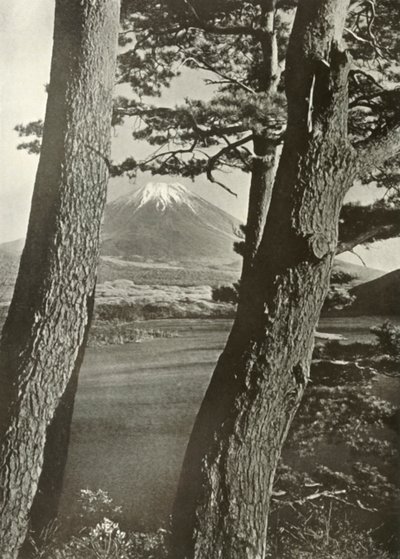 Fuji Through the Pines of Lake Motosu, 1910. av Herbert Ponting