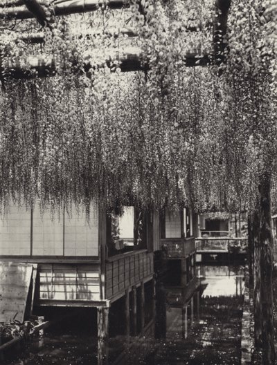Japan på 1920-tallet: Tokyo, Kameido (s/hvitt bilde) av Herbert Ponting