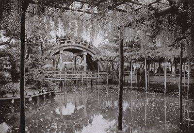 Kameido (s/h-bilde) av Herbert Ponting