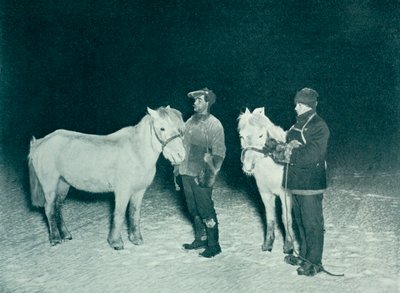 Underoffiserer Crean og Evans trener ponniene sine om vinteren, 1911, 1913 av Herbert Ponting