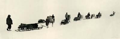 Ponnier i mars 1911, 1913 av Herbert Ponting