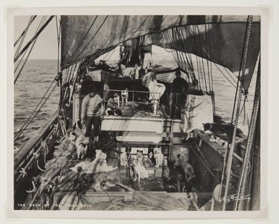 The Deck of the Terra Nova (bromidtrykk) av Herbert Ponting