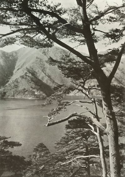 The Hotel Across The Lake, Shoji, 1910. av Herbert Ponting