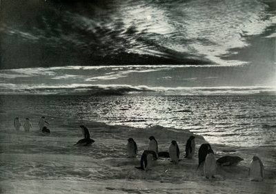 Midnattssolen i McMurdo Sound, c19101913, 1913 av Herbert Ponting
